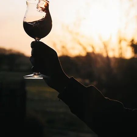 Siedlisko Słoneczny Jar Chojno-Blota Wielkie