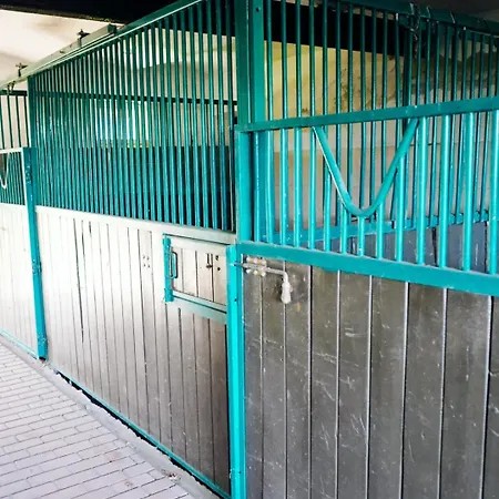 Siedlisko Słoneczny Jar Gospodarstwo agroturystyczne