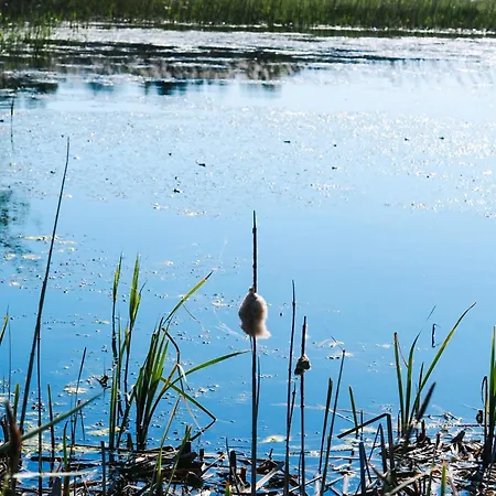 Siedlisko Słoneczny Jar Gospodarstwo agroturystyczne Chojno-Blota Wielkie