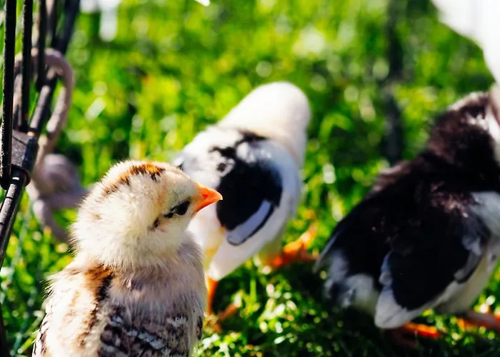 Siedlisko Sloneczny Jar Bauernhof