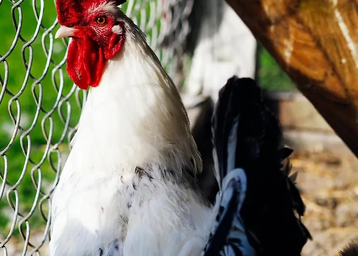 Siedlisko Sloneczny Jar