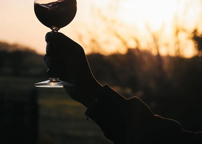 Siedlisko Sloneczny Jar Chojno-Blota Wielkie