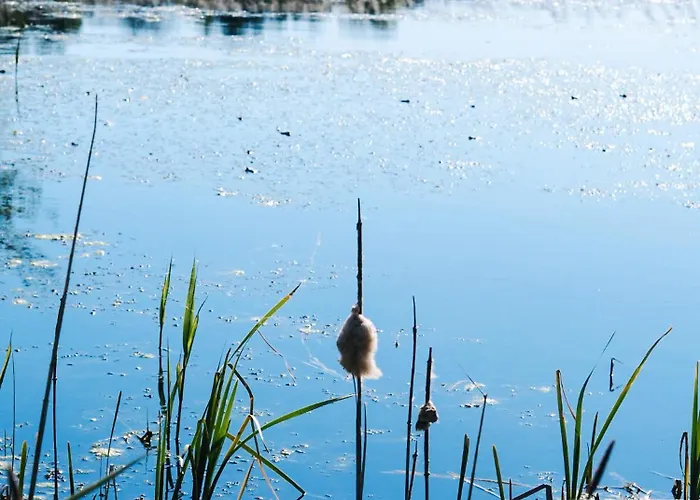 Siedlisko Sloneczny Jar Bauernhof Chojno-Blota Wielkie
