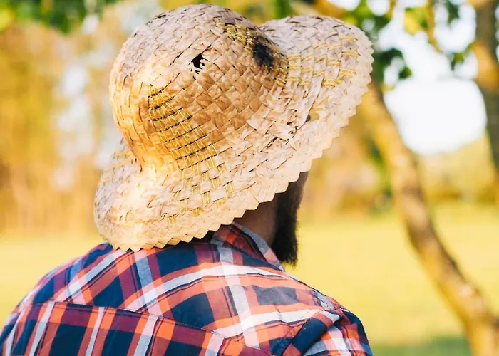 Siedlisko Sloneczny Jar *