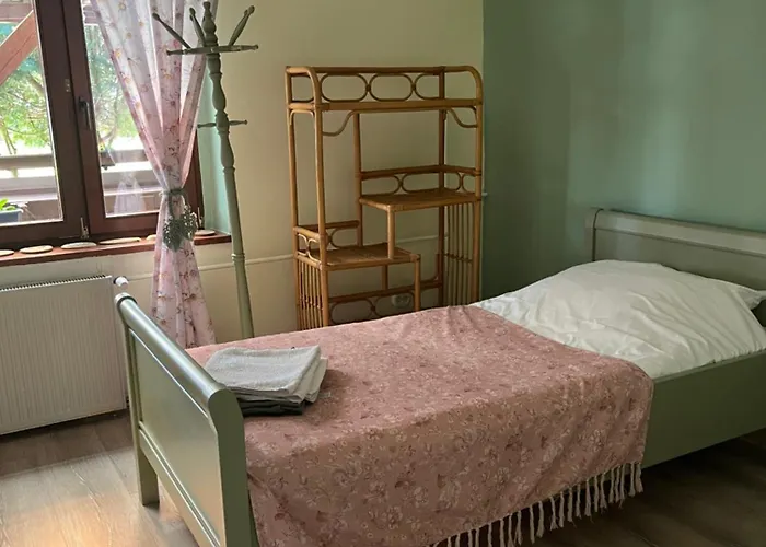 Siedlisko Sloneczny Jar Chojno-Blota Wielkie